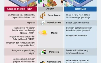 30.000 Lowongan Manajer Kopdes Merah Putih Dibuka: Syarat, Jadwal, dan Cara Daftar Lengkap