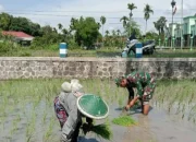 Babinsa Dorong Peningkatan Ekonomi Warga lewat Pendampingan Pertanian di Aceh