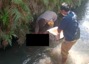 Bayi Ditemukan di Saluran Air, Kini Dirawat di RSUD; Polisi Kejar Pelaku di Balik Kasus Menggemparkan