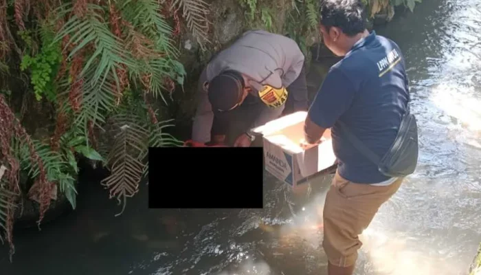Bayi Ditemukan di Saluran Air, Kini Dirawat di RSUD; Polisi Kejar Pelaku di Balik Kasus Menggemparkan