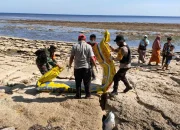 Benda Diduga Torpedo Panjang 2 Meter Ditemukan di Pantai Pulau Kangean, Sumenep: Polisi Amankan Lokasi