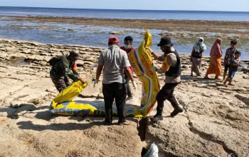 Benda Diduga Torpedo Panjang 2 Meter Ditemukan di Pantai Pulau Kangean, Sumenep: Polisi Amankan Lokasi