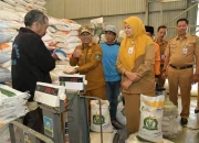 Bulog Buka Akses Publik: Cek Stok Beras Secara Langsung di Gudang Nasional