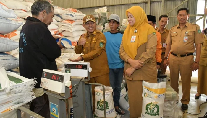 Bulog Buka Akses Publik: Cek Stok Beras Secara Langsung di Gudang Nasional