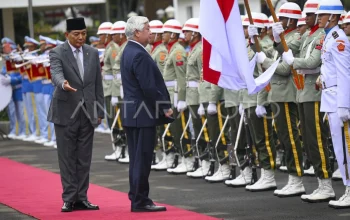 Cek Fakta: Benarkah Menhan Sjafrie Temui Menhan Jepang Usai Pentagon? Simak Analisis Lengkap Akses Udara AS