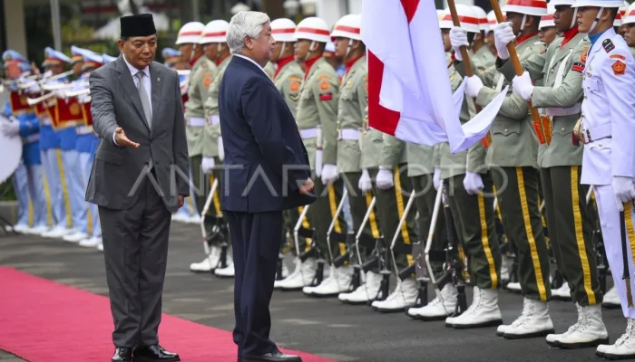 Cek Fakta: Benarkah Menhan Sjafrie Temui Menhan Jepang Usai Pentagon? Simak Analisis Lengkap Akses Udara AS