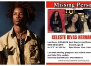 D4vd Ditangkap: Penyanyi Muda Terjerat Tuduhan Pembunuhan Celeste Rivas yang Ditemukan di Mobilnya