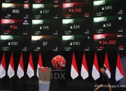 Dividen LPPF 6× Bunga Bank: Apakah Saham Ini Layak Dibeli Hari Ini?