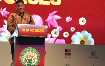 Ekspor CPO Melesat, Indonesia Perkuat Kedudukan Sebagai Raja Sawit Dunia