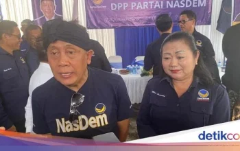 Gerindra dan Nasdem Diperbincangkan Melebur: Saan Mustopa Kaget, Apa Kata Kedua Partai?