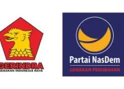 Gerindra NasDem: Dasco Buka Suara, Internal Gerindra Bimbang dan Bingung!