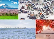 Jepang di Persimpangan: Protes Patung, Dealer Mobil Tutup, dan Musim Semi serta Panas Ekstrem Mengguncang Negeri Sakura