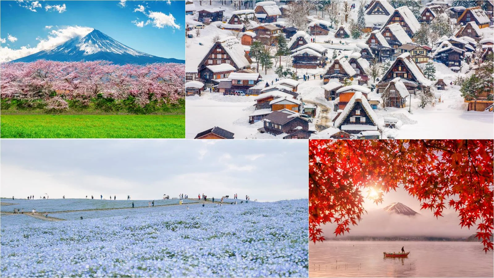 Jepang di Persimpangan: Protes Patung, Dealer Mobil Tutup, dan Musim Semi serta Panas Ekstrem Mengguncang Negeri Sakura