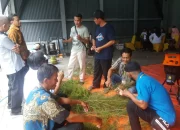 Ketua RW Kelapa Gading Galang Warga Tangkap Sapu-Sapu, Harga Rp5.000 per Kg Jadi Insentif Lingkungan