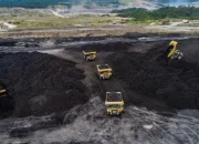 Krisis Energi Global: Dari Minyak Rusia hingga Batu Bara Indonesia, Siapa yang Menang?