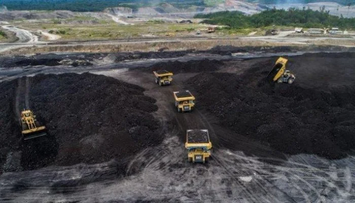 Krisis Energi Global: Dari Minyak Rusia hingga Batu Bara Indonesia, Siapa yang Menang?