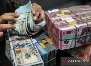 Kurs USD Melemah, Rupiah Tertekan: Dampak Konflik Iran‑AS dan Kebijakan Moneter Indonesia