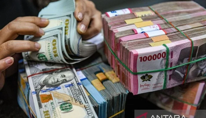 Kurs USD Melemah, Rupiah Tertekan: Dampak Konflik Iran‑AS dan Kebijakan Moneter Indonesia