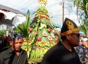 Live Sydney: Festival, Tur, dan Warisan Pub yang Menghidupkan Musik Kota