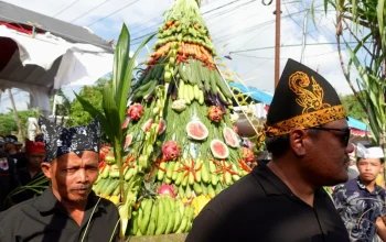 Live Sydney: Festival, Tur, dan Warisan Pub yang Menghidupkan Musik Kota
