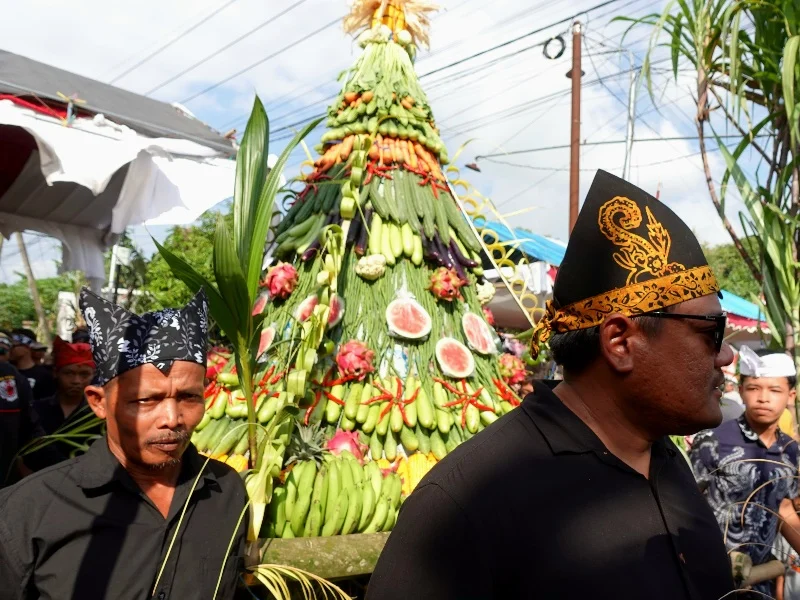 Live Sydney: Festival, Tur, dan Warisan Pub yang Menghidupkan Musik Kota