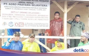 Mantan Kadis Lingkungan Hidup Jakarta Jadi Tersangka dalam Tragedi Longsor Bantargebang