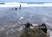 Misteri Selancar Pantai Parangtritis: Remaja 16 Tahun Hilang, Ditemukan Meninggal Setelah Operasi SAR Intensif