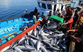 Operasi Besar‑besaran Pemprov DKI: Penangkapan Ikan Sapu‑sapu Mengguncang Ekosistem Jakarta