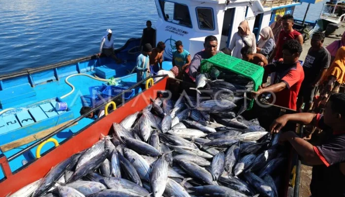 Operasi Besar‑besaran Pemprov DKI: Penangkapan Ikan Sapu‑sapu Mengguncang Ekosistem Jakarta