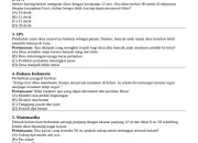Panduan Lengkap Soal TKA Bahasa Indonesia Kelas 6: Contoh Kalimat Kata Ulang, Pembahasan, dan Tips Belajar Efektif