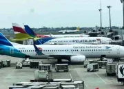 Pemerintah Tanggung PPN Tiket Pesawat Ekonomi Selama 60 Hari, MTI Soroti Batas Solusi Jangka Pendek