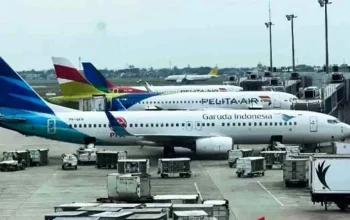 Pemerintah Tanggung PPN Tiket Pesawat Ekonomi Selama 60 Hari, MTI Soroti Batas Solusi Jangka Pendek