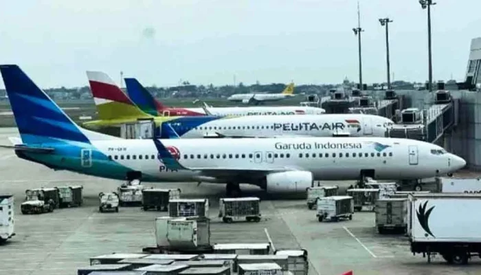 Pemerintah Tanggung PPN Tiket Pesawat Ekonomi Selama 60 Hari, MTI Soroti Batas Solusi Jangka Pendek