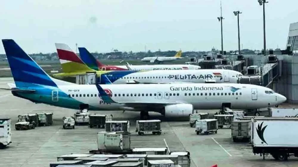 Pemerintah Tanggung PPN Tiket Pesawat Ekonomi Selama 60 Hari, MTI Soroti Batas Solusi Jangka Pendek