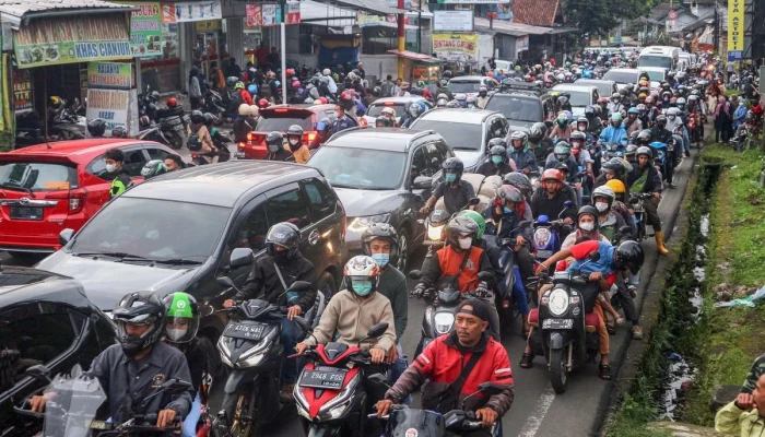 Penataan Parung Besar-besaran: Kunci Mengurai Macet Parah di Kabupaten Bogor