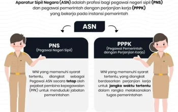 PPPK dan PNS Turun Secara Alamiah: Data Resmi BKN Ungkap Tren Penurunan Sejak Era Jokowi