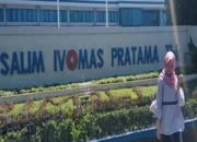 Saham Salim Ivomas Pratama Melejit 12,7%: Bintang Baru di Langit IHSG 2026