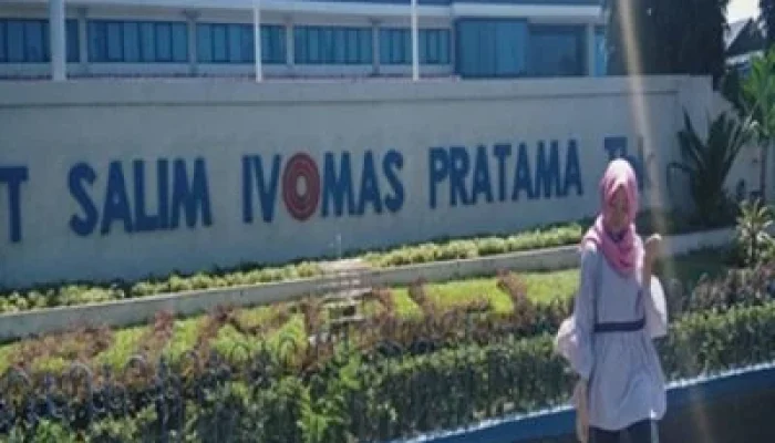 Saham Salim Ivomas Pratama Melejit 12,7%: Bintang Baru di Langit IHSG 2026