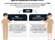Surat Edaran Kemenkes Picu Gegar PPPK, UU ASN Tercoreng, dan Solusi Cerdas Hindari PHK PPPK
