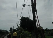 Tiang Pemancar Jatuh Hantam Dua Rumah di Jakarta Barat, Kabel Optik Tumpuk Jadi Pemicu Kecelakaan Besar