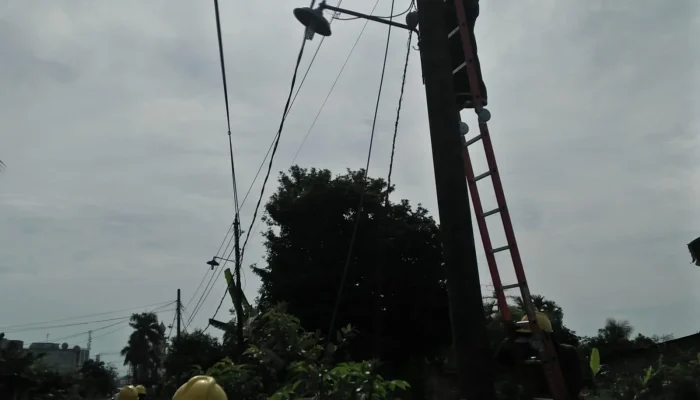 Tiang Pemancar Jatuh Hantam Dua Rumah di Jakarta Barat, Kabel Optik Tumpuk Jadi Pemicu Kecelakaan Besar