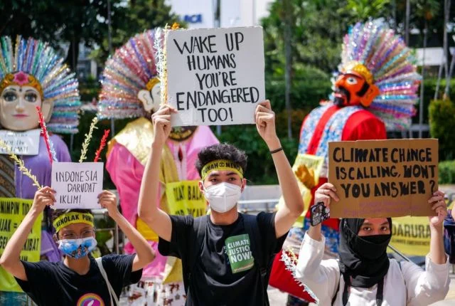 WhatsApp Jadi Sorotan: Dari Politik Indonesia Hingga Krisis Lingkungan di Western Australia