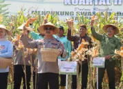 Badan Pangan Nasional Dorong Ketahanan Pangan dengan Produksi Jagung dan Program Stabilisasi Pasokan