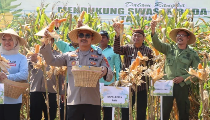 Badan Pangan Nasional Dorong Ketahanan Pangan dengan Produksi Jagung dan Program Stabilisasi Pasokan