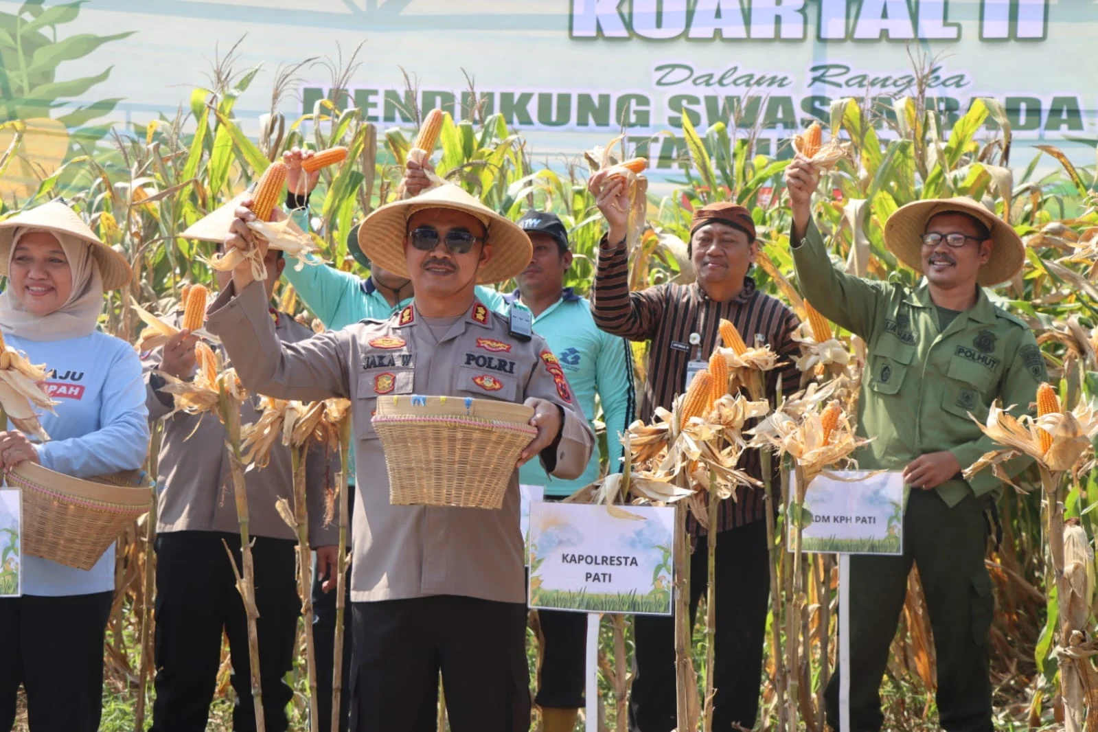 Badan Pangan Nasional Dorong Ketahanan Pangan dengan Produksi Jagung dan Program Stabilisasi Pasokan