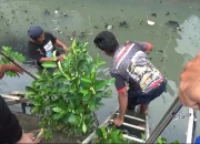 Bongkar Isi HP Warga yang Nyemplung di Telaga Pakujoyo, Damkar Sukoharjo Geger Cari Petunjuk