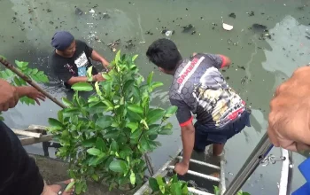 Bongkar Isi HP Warga yang Nyemplung di Telaga Pakujoyo, Damkar Sukoharjo Geger Cari Petunjuk