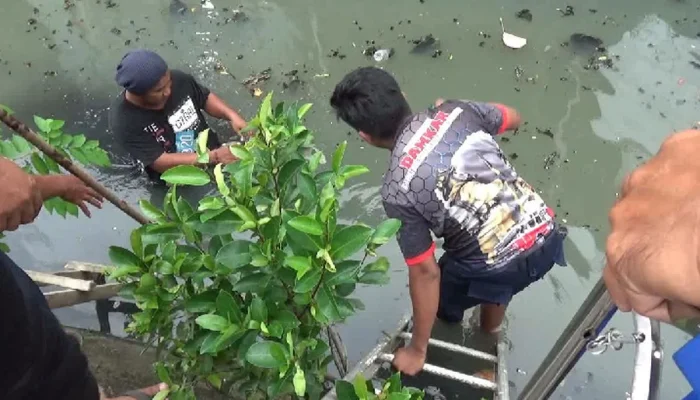 Bongkar Isi HP Warga yang Nyemplung di Telaga Pakujoyo, Damkar Sukoharjo Geger Cari Petunjuk