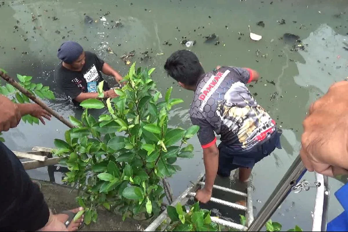 Bongkar Isi HP Warga yang Nyemplung di Telaga Pakujoyo, Damkar Sukoharjo Geger Cari Petunjuk