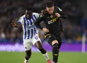 Brighton vs Wolves: Kekalahan Telak Wolves, Rob Edwards Murka dan Siap untuk Perubahan Besar